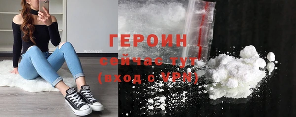 шишки Кодинск