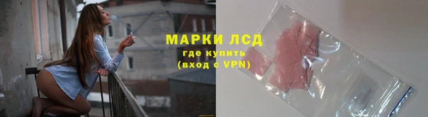 ALPHA PVP Новозыбков